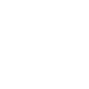 Alarm system icon