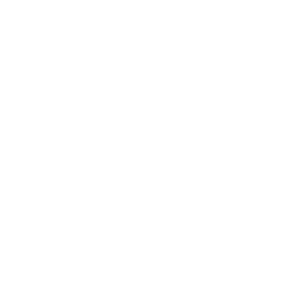 Modular icon