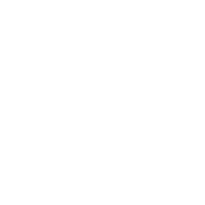 400 ml Vase capacity icon